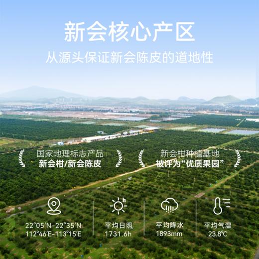 世纪茗家生态陈皮丝 有机种植 新会核心产区 国jia地标  非物质陈皮炮制工艺 商品图3