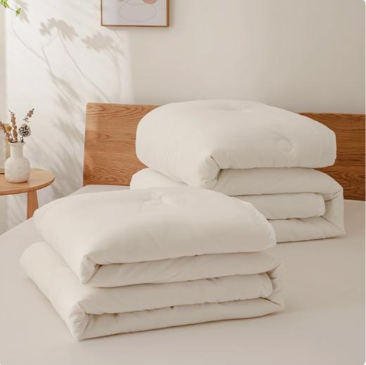 百富帝大豆亲肤子母被大豆纤维被子四季通用被芯双人冬被春秋被 商品图1