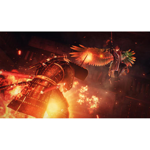 【共享租借】索尼（SONY）PS4 游戏光盘 ps4仁王 商品图4