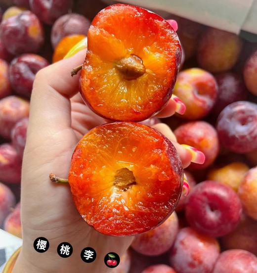 晚熟高山脆蜜樱桃李 |水果 商品图1