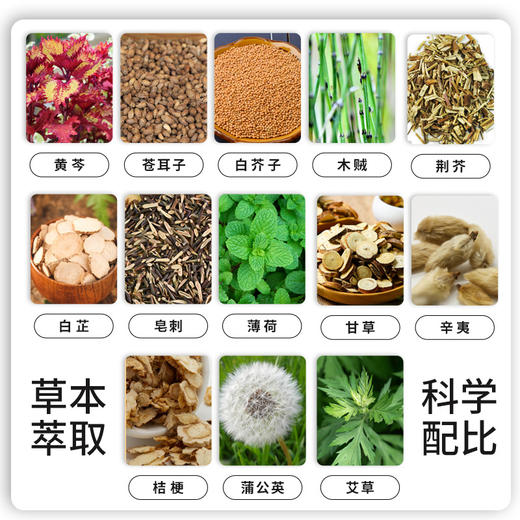 鼻舒贴 温和舒适 植物萃取 10贴/盒 商品图1