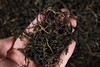 奢净茶坊 奢净之巅滇红茶80g*基地直发 商品缩略图2