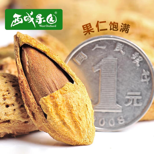 果叔巴旦木（椒盐味）300g国条 商品图3