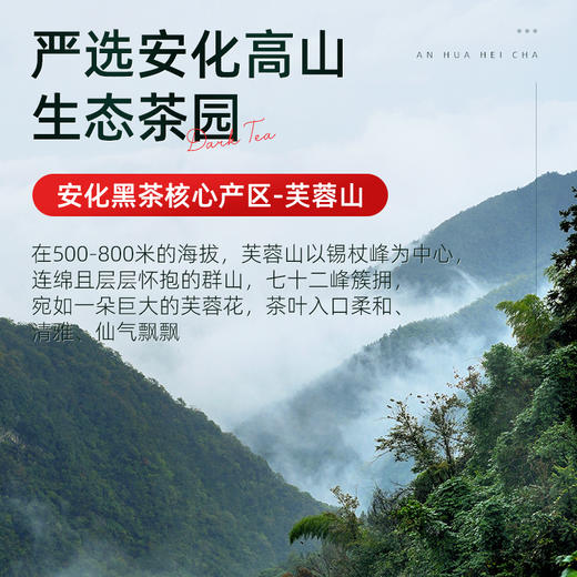 茶马世家丨安化天尖 手筑茯砖 湖南安化黑茶 2015年原料 1000g 大份量 商品图2