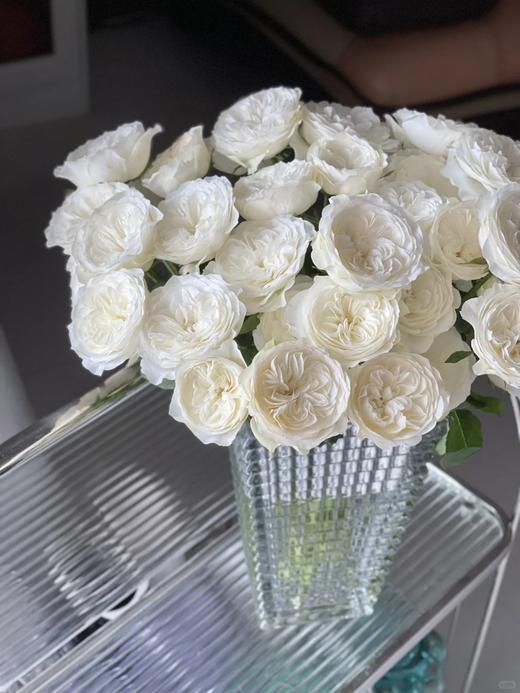 同城甄选精品玫瑰花泰勒10支 商品图2