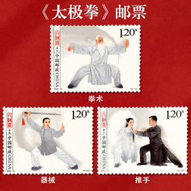 《太极拳》特种邮票 2023-14