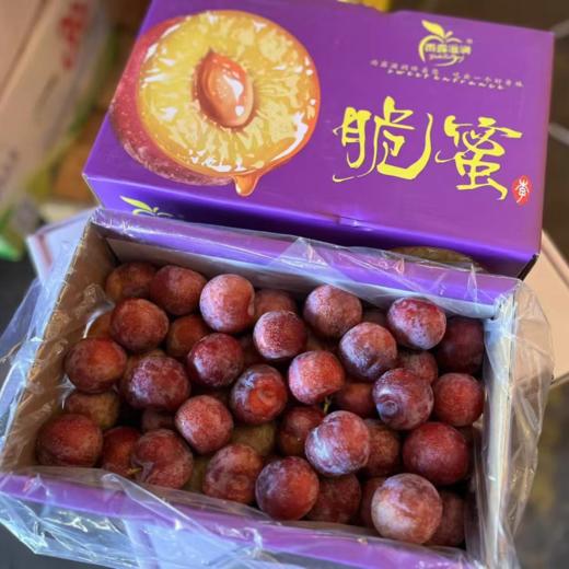晚熟高山脆蜜樱桃李 |水果 商品图2
