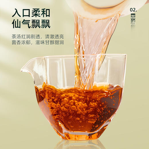 茶马世家丨安化天尖 手筑茯砖 湖南安化黑茶 2015年原料 1000g 大份量 商品图6