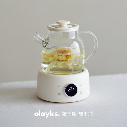 olayks立时水灵全玻璃养生壶家用多功能办公室小型纯玻璃煮茶烧水 商品图0