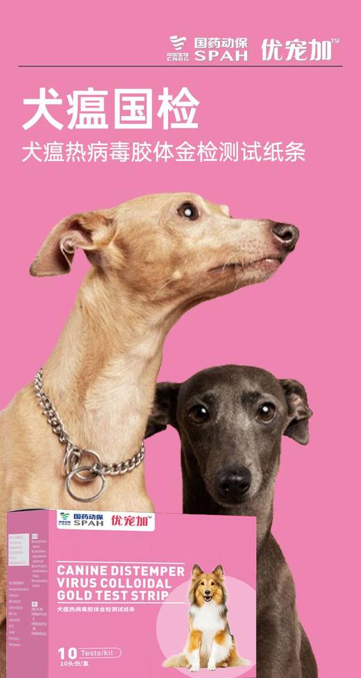国药动保优宠加犬瘟热病毒胶体金检测试纸条10头份/盒，2027年3月9号到期，兽药生字170268925作用与用途]用于犬鼻液、犬眼分泌物及病毒培养物样品中犬瘟热病毒抗原的检测。 商品图1