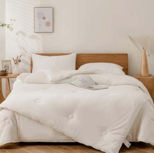 百富帝大豆亲肤子母被大豆纤维被子四季通用被芯双人冬被春秋被 商品图0