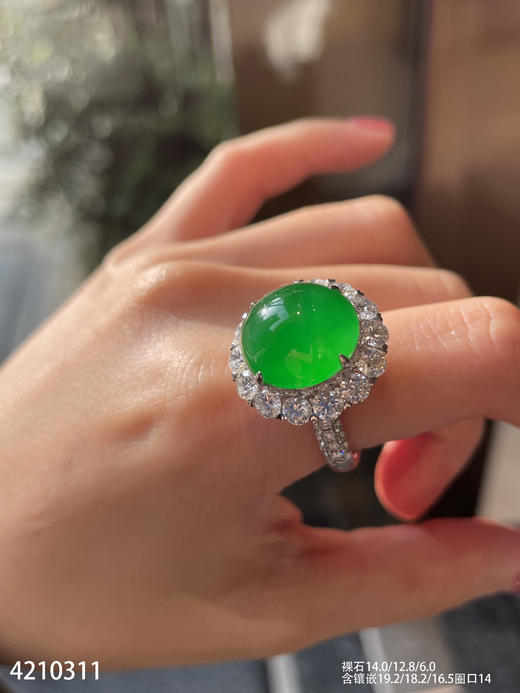 老坑艳绿蛋面戒指【4210311】具体价格微信咨询 商品图5