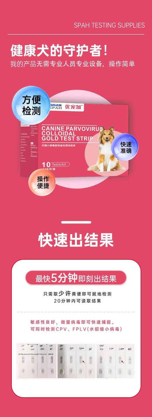 国药优宠加犬细小病毒胶体金检测试纸条10头份/盒，2027年3月26号到期，批准文号:兽药生字170268850批准文号:兽药生字170268850
【作用与用途]用于检测犬细小病毒。 商品图3