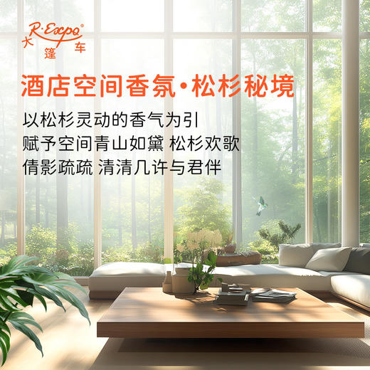 酒店空间香氛·松杉秘境 植物香氛 精油香氛设计定 制 大篷车精油 商品图0