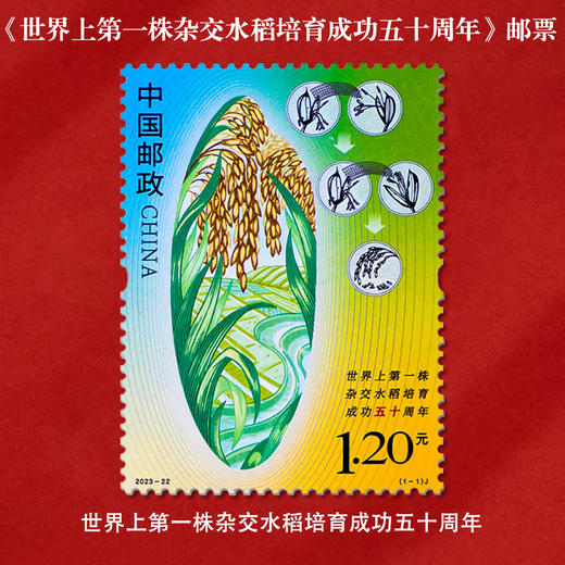 《世界上第一株杂交水稻培育成功五十周年》纪念邮票 2023-22 商品图0