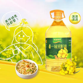 绿洲果实菜籽油5L