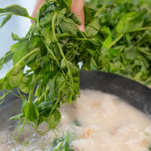 【斌哥优选】鲜嫩豌豆尖，四川人心尖尖上的爱。一叶一心，煮汤清炒涮火锅。 商品图2