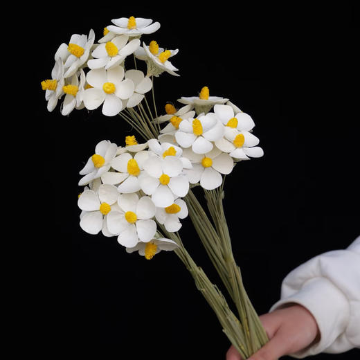 永生花丨紫罗兰丨百搭小花花 商品图1