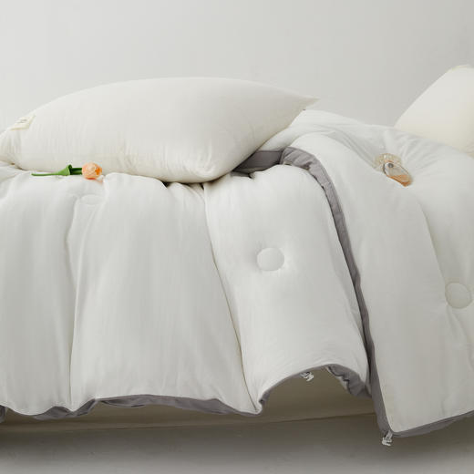 百富帝抗菌防螨舒柔冬被芯化纤保暖加厚单双人被子 商品图4