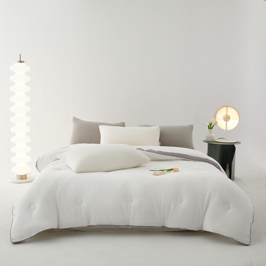 百富帝抗菌防螨舒柔冬被芯化纤保暖加厚单双人被子 商品图0