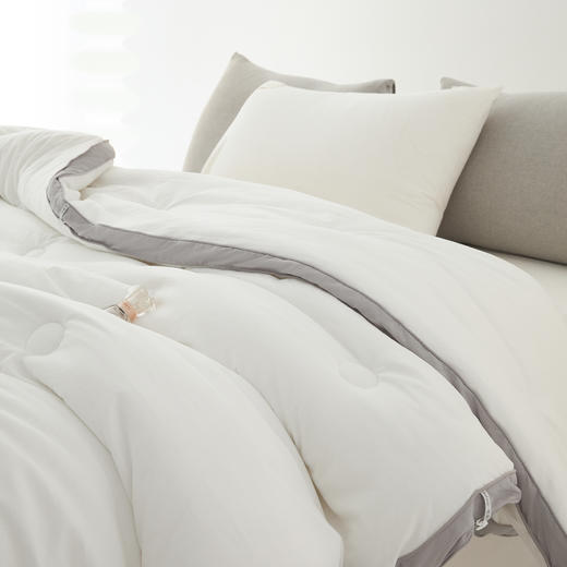 百富帝抗菌防螨舒柔冬被芯化纤保暖加厚单双人被子 商品图1