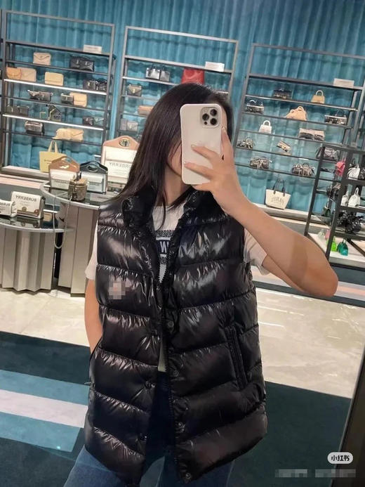 介绍链接丨蒙家立领经典羽绒马甲 商品图4