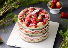 草莓季-嗨森开心果