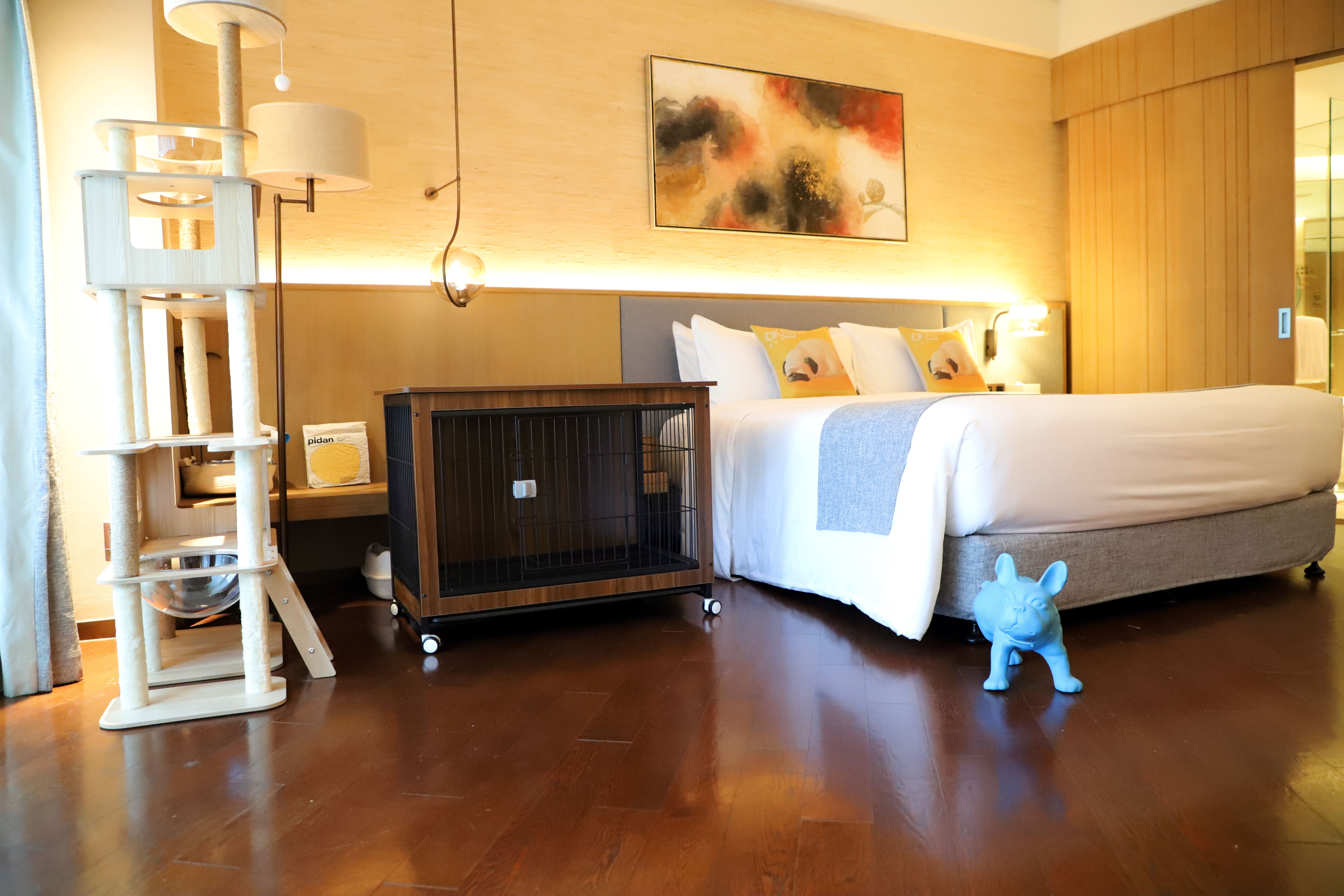 【佘山艾美】房间升级券-高级房升级宠物房