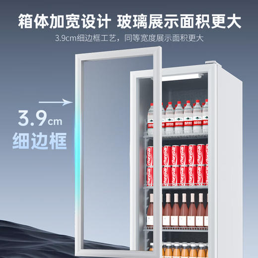 澳柯玛 229升 展示柜 冷藏保鲜柜 单门商用冰箱 饮料啤酒柜 立式冰柜冰吧 鲜花水果冷藏柜 SC-229SNEB 商品图4