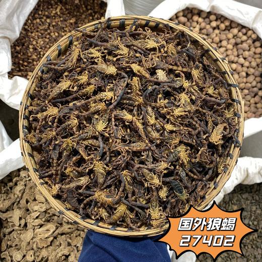 全蝎 清水全虫 全干蝎子 可磨粉 500克起购 商品图2