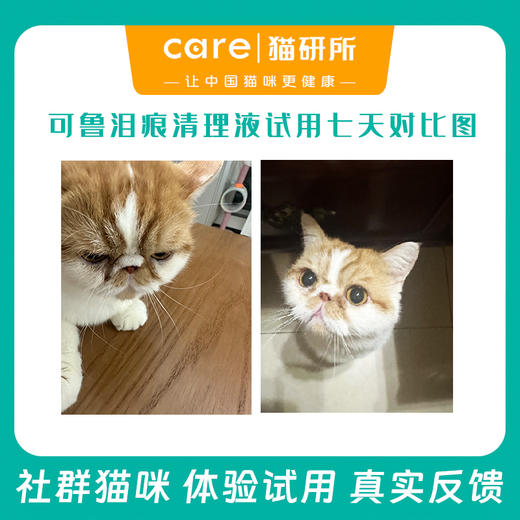 可鲁生物酶泪痕清理液55ml 犬猫通用 温和无刺激 Enzybiotics生物酶成分 商品图3