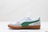 彪马Puma Palermo低帮休闲运动板鞋398382-02男女鞋 商品缩略图2