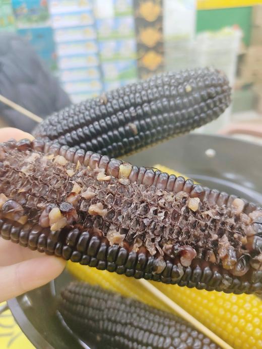 黑玉米3个 商品图3