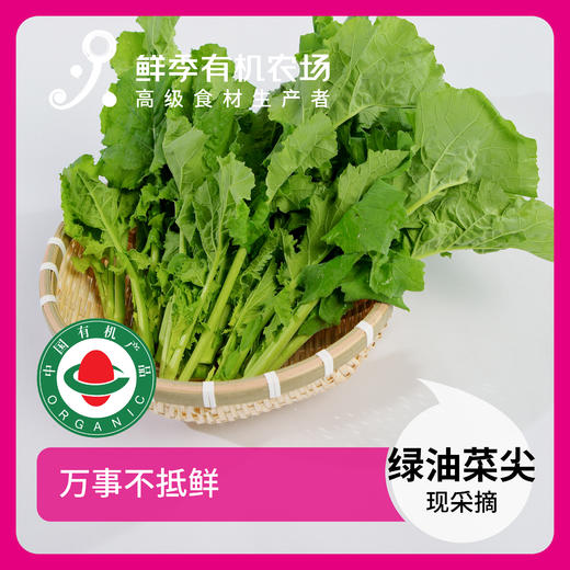 绿油菜尖 300g 商品图0