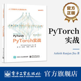 官方正版 PyTorch实战 PyTorch基础知识与常见深度学习算法实现讲解书籍  高级神经网络实现介绍书 郭涛 等 译 电子工业出版社
