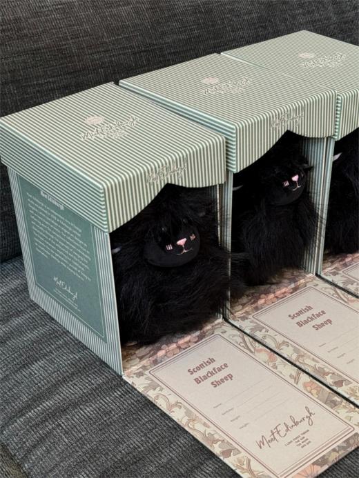 Meet-Edinburgh丨苏格兰黑脸羊 商品图0