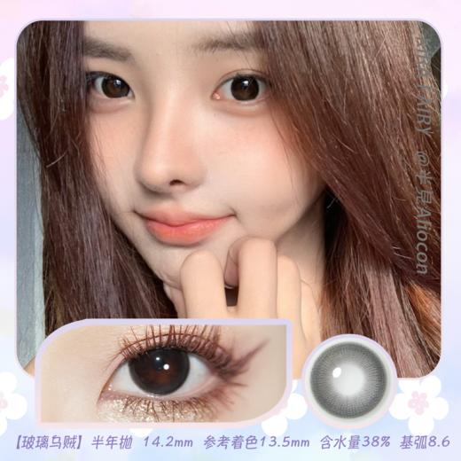Kira Fairy玻璃乌贼 14.2mm【半年抛1片】 商品图0