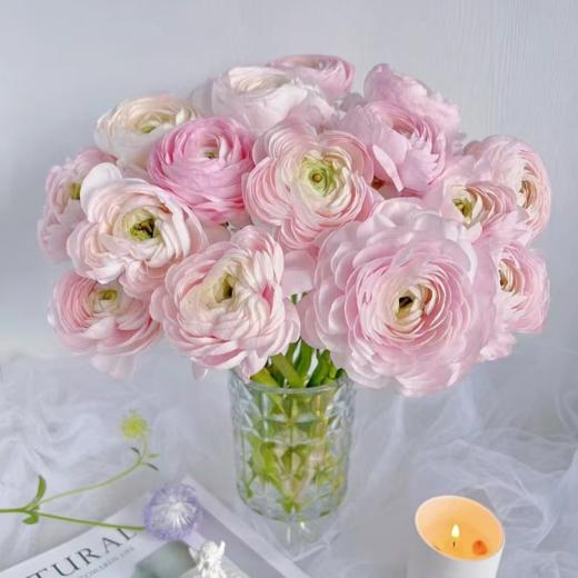 彩虹洋牡丹 20枝 | 新客福利 商品图1