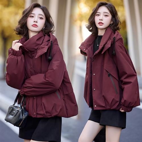 2024冬新款时尚洋气韩版宽松休闲白鸭绒外套 ZYIF1131 商品图5