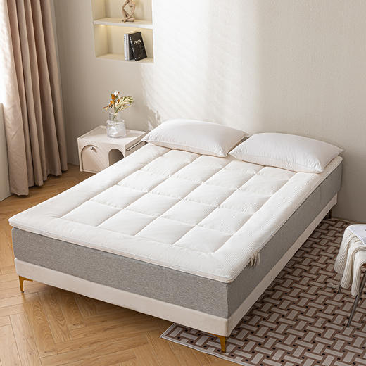 A类原棉大豆床褥 柔软舒适天然新疆棉花床垫 商品图3