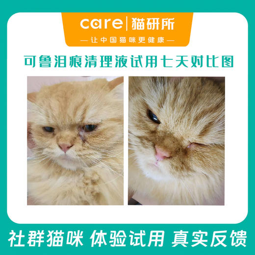 可鲁生物酶泪痕清理液55ml 犬猫通用 温和无刺激 Enzybiotics生物酶成分 商品图2