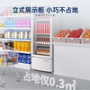 澳柯玛 229升 展示柜 冷藏保鲜柜 单门商用冰箱 饮料啤酒柜 立式冰柜冰吧 鲜花水果冷藏柜 SC-229SNEB 商品缩略图5