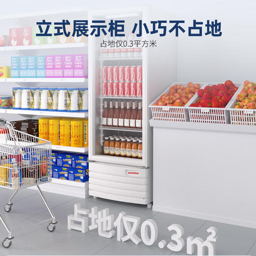 澳柯玛 229升 展示柜 冷藏保鲜柜 单门商用冰箱 饮料啤酒柜 立式冰柜冰吧 鲜花水果冷藏柜 SC-229SNEB 商品图5