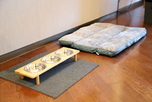 【佘山艾美】房间升级券-高级房升级宠物房 商品图2