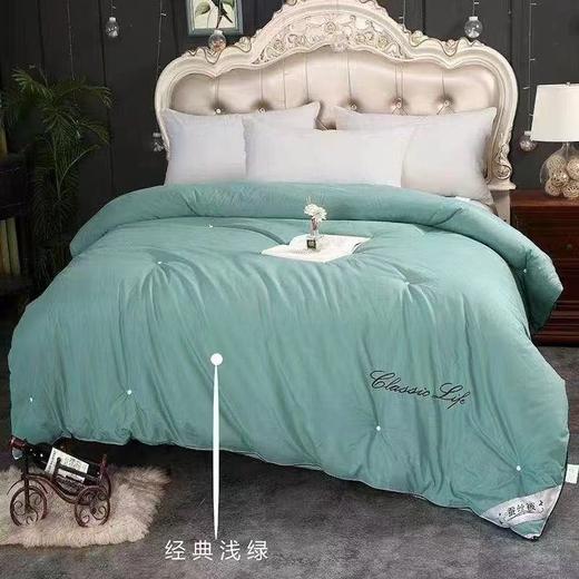 BZX名贵蚕丝被(2M*2.3M 4斤） 商品图0