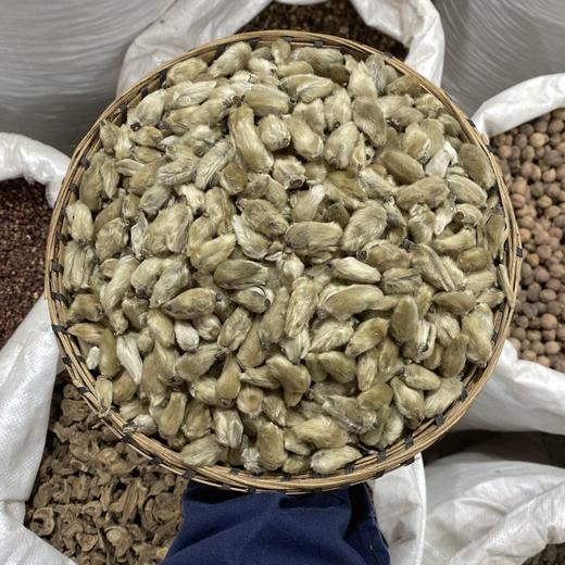 辛夷花 商品图0