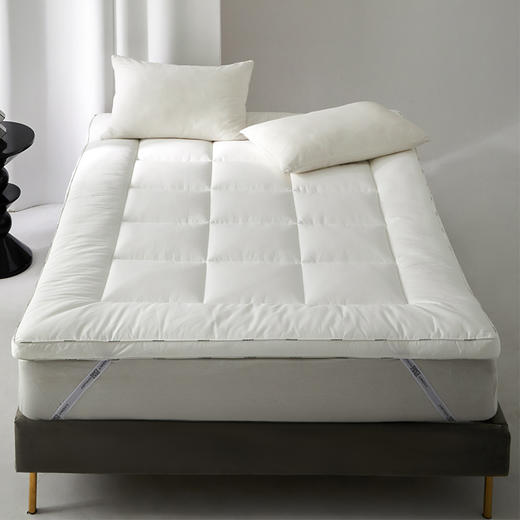 【山宁泰防螨抑菌三防软床垫】A类60支新疆长绒棉可折叠床褥 商品图0