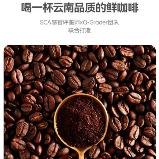 隅田川 意式风味咖啡液 150ml(15ml*10)/盒 商品图1