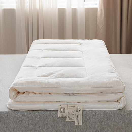 A类原棉大豆床褥 柔软舒适天然新疆棉花床垫 商品图1