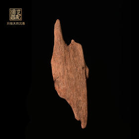 天然富森红土沉香 沉水级 21.8克 SP10204